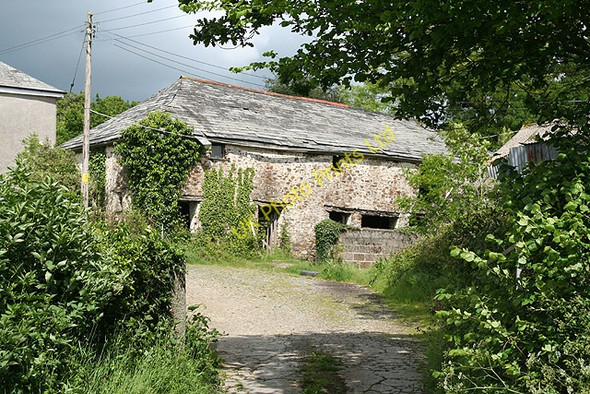 Photo 6"x4" Broadwoodwidger: by Tower Hill farm Downicary c2007