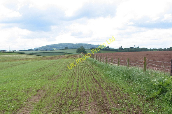 Photo 6"x4" Farmland near Bromsash Bromsash c2007