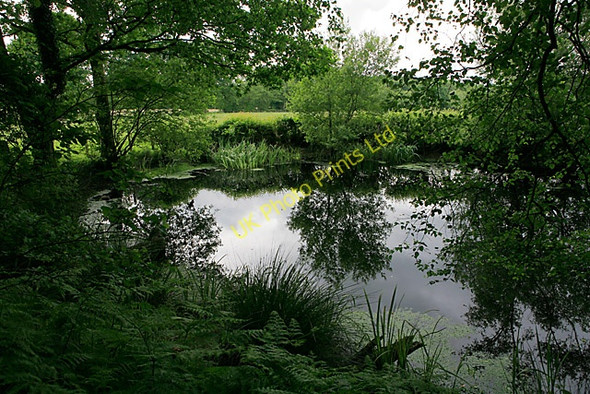 Photo 6"x4" Pond on Barn Farm, Curbridge Curbridge\/SU5211 c2007