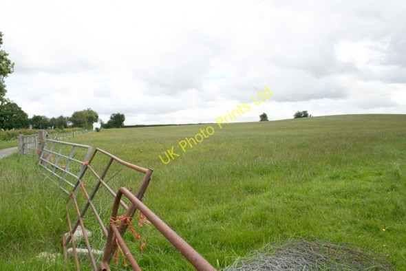 Photo 6"x4" Meadow and Driveway to Holling Grange Bacton\/SO3632 c2007