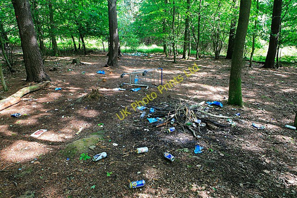 Photo 6"x4" Litter in Botley Wood Curbridge\/SU5211 c2007