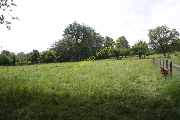 Photo 6"x4" Meadow near Annedd Bach Michaelchurch Escley c2007
