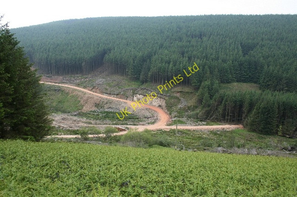 Photo 6"x4" Forestry Road. Cnoc na Gr\u00e8ine c2007