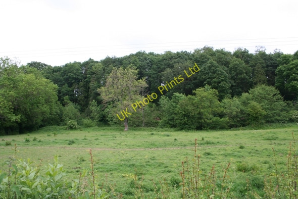 Photo 6"x4" The Valley of the Kyre Brook Nineveh\/SO6264 c2007