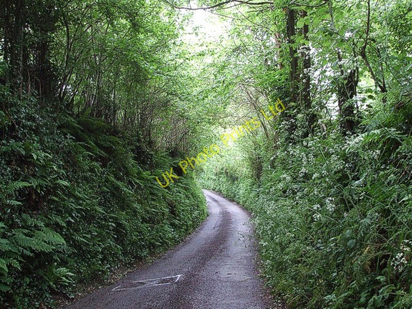 Photo 6"x4" Furzehill Lane Winsford\/SS9034 c2007