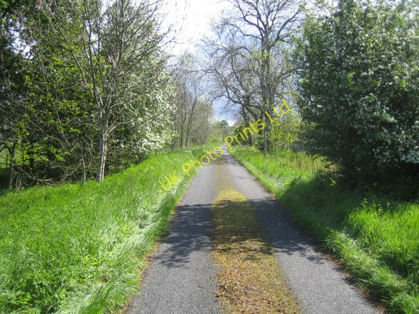 Photo 6"x4" Lane near Sharperton Sharperton c2007