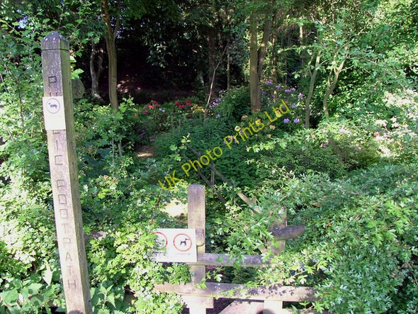 Photo 6"x4" What a pretty footpath Heaton\/SJ9562 c2007