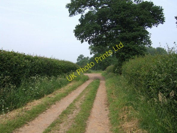 Photo 6"x4" Sharp left turn on the bridleway Crackleybank c2007