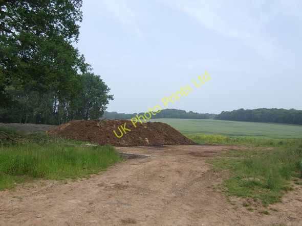 Photo 6"x4" Edge of the wood Crackleybank c2007