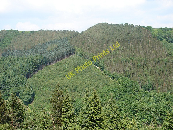 Photo 6"x4" The track from Cwm Rheidol to Ystumtuen Devil's Bridge\/Pontarfynach c2007