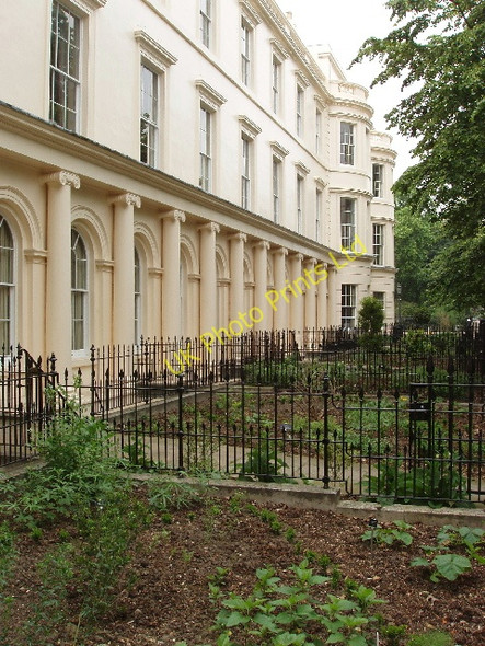Photo 6"x4" St Andrews' Place medicinal gardens Marylebone\/TQ2881 c2007