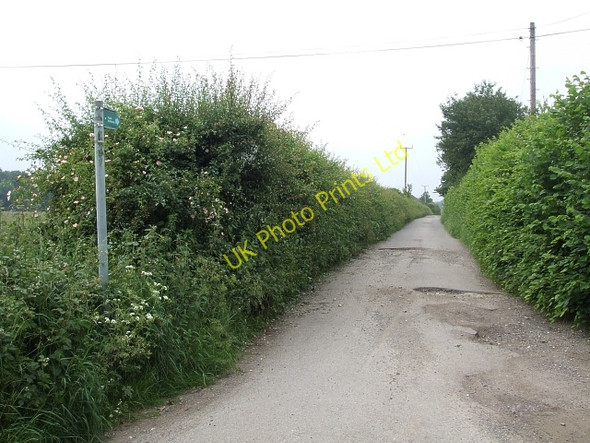 Photo 6"x4" Bridleway to Leylands Farm Hastoe c2007