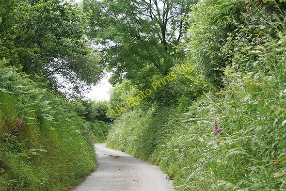 Photo 6"x4" North Molton: lane near Coombeshead North Molton c2007