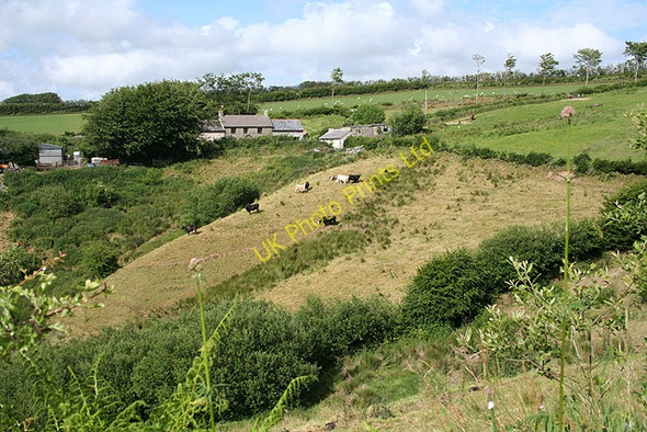 Photo 6"x4" Exmoor: Woolcombe Farm North Batsom c2007