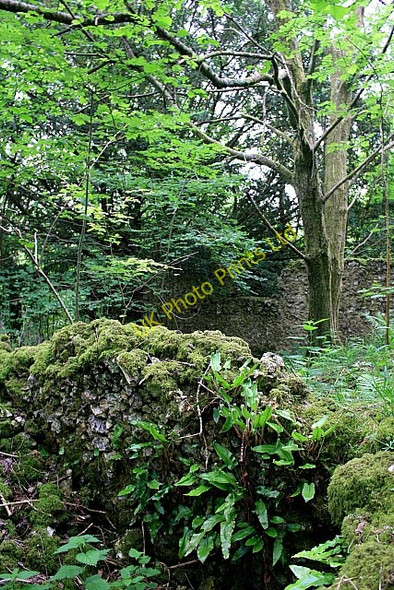 Photo 6"x4" The remains of Newfarm Bepton c2007