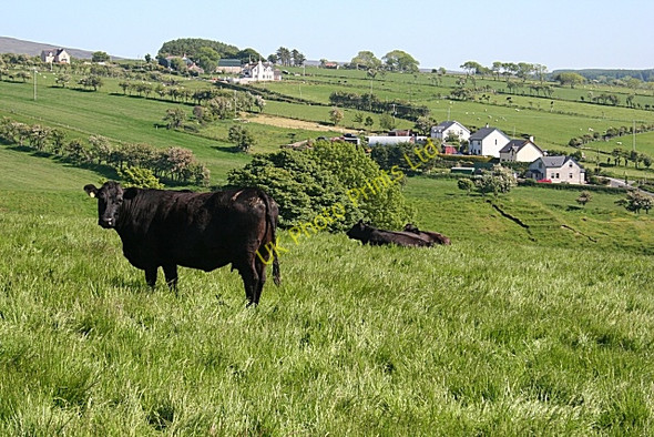 Photo 6"x4" Near Drumadoon Ballycastle\/D1140 c2007