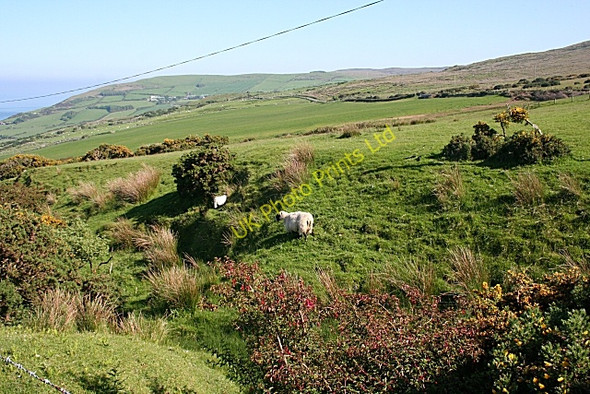 Photo 6"x4" East Torr Cushendun c2007