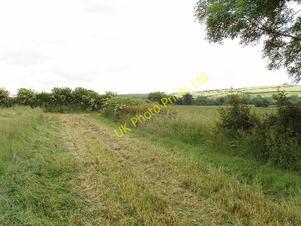 Photo 6"x4" Field by Wombwell's Farm Chearsley c2007