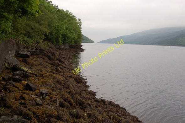 Photo 6"x4" Shoreline of Loch Long Ardgartan c2007