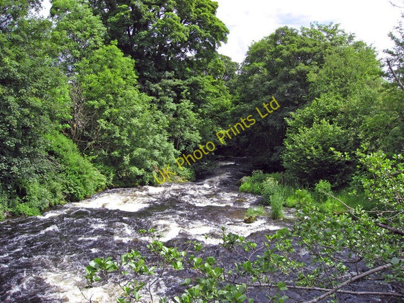 Photo 6"x4" Afon Tryweryn Frongoch\/SH9039 c2007