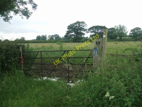 Photo 6"x4" Mud and nettles on the footpath Billington\/SJ8820 c2007