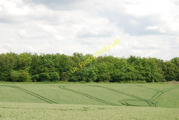 Photo 6"x4" Tractor tracks mark the way Dinton\/SU0131 c2007