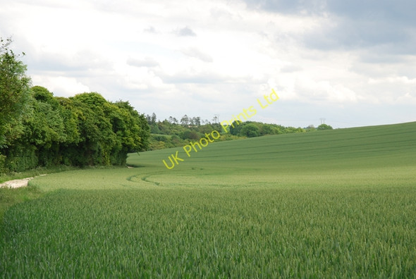 Photo 6"x4" Fields south of Ox Drove Baverstock c2007