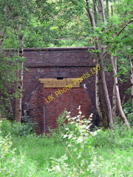 Photo 6"x4" The South Portal of Rhayader Tunnel Llansantffraed-Cwmdeuddwr c2007