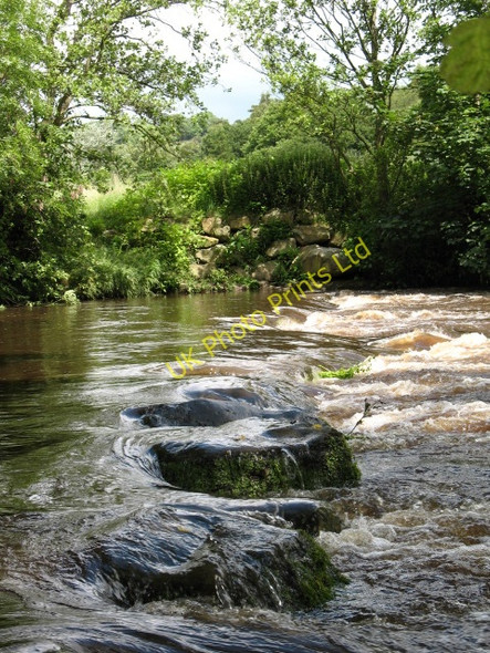 Photo 6"x4" Stepping stones across the Nidd Dacre\/SE1960 c2007