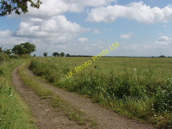 Photo 6"x4" Oilseed rape field and track (bridleway) Bourne End\/SP9644 c2007