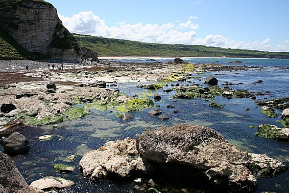 Photo 6"x4" White Park Bay Ballintoy c2007