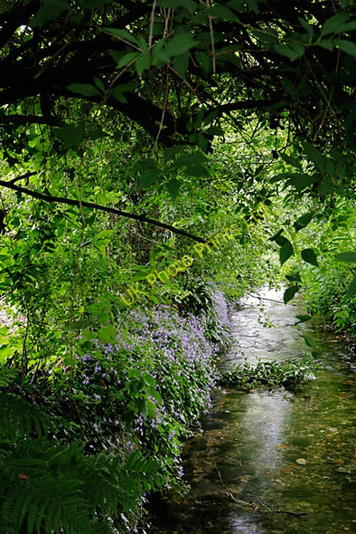 Photo 6"x4" Wallop Brook near the Church Hall, Over Wallop Over Wallop c2007