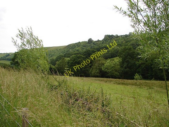 Photo 6"x4" Pasture beside Afon Gwydol Abercegir c2007