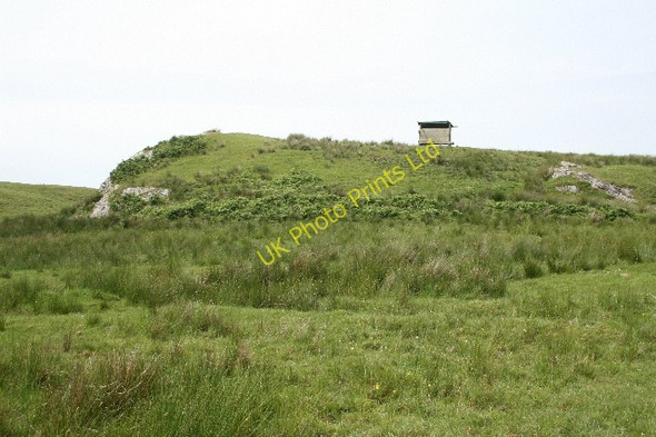 Photo 6"x4" Farmland Near Ballygroggan. Machrihanish c2007
