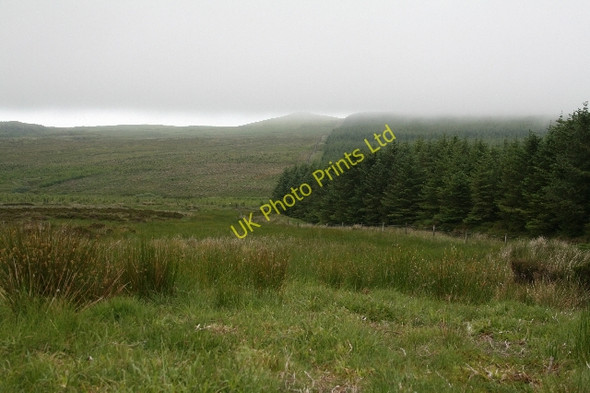 Photo 6"x4" Forestry and Moorland South of Ballygroggan. Machrihanish c2007