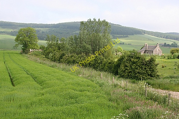 Photo 6"x4" Midtown of Moss-side Moss-side\/NJ5550 c2007