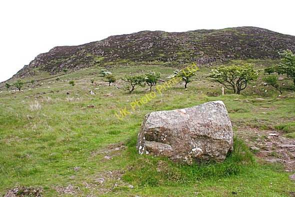 Photo 6"x4" Looking Towards Slemish Buckna c2007