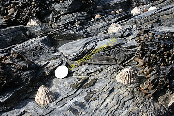 Photo 6"x4" Slump Fold Larne c2007