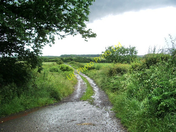 Photo 6"x4" Track to nowhere (just the fields) Flimby c2007