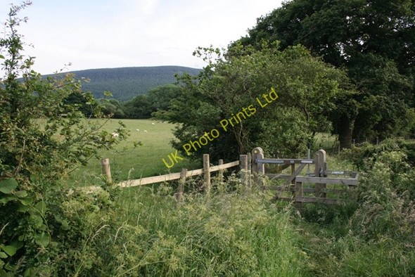 Photo 6"x4" Gate, Public Footpath, Dibdale Heathwaite\/NZ4801 c2007