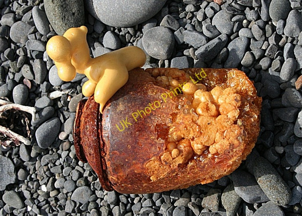 Photo 6"x4" Flotsam or Jetsam? Dunseverick c2007