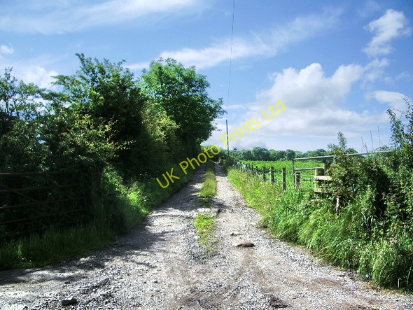Photo 6"x4" Road to The Close Bolton Low Houses c2007