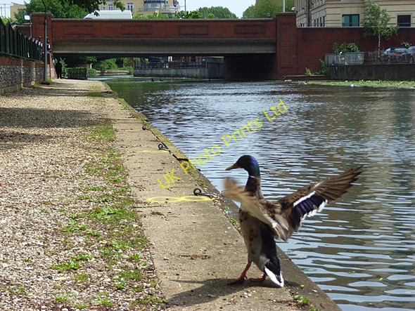 Photo 6"x4" River Kennet, Reading Reading c2007