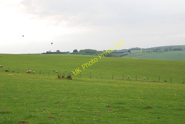Photo 6"x4" Wylye Down Wylye c2007