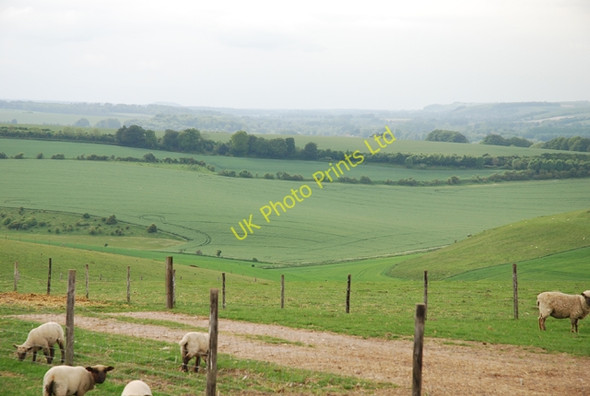 Photo 6"x4" View across Wylye Down Wylye c2007