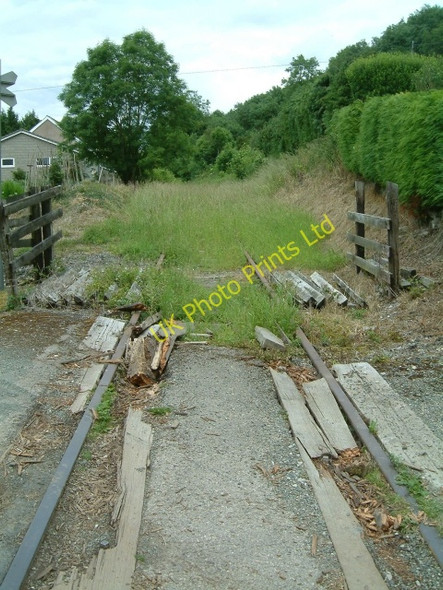 Photo 6"x4" Disused Railway Tracks Porth-y-waen c2007