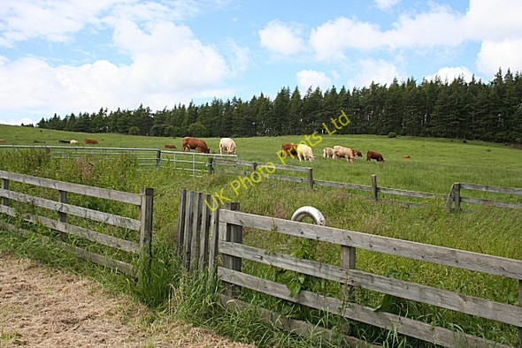 Photo 6"x4" Reservoir at Burnhead Dufftown c2007