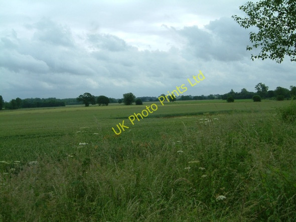 Photo 6"x4" Fields near Brick Kiln Wood Downham Market c2007