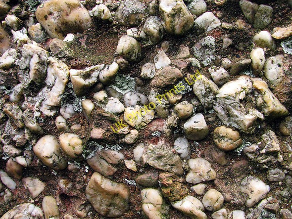 Photo 6"x4" Conglomerate rock called puddingstone. Trellech c2007