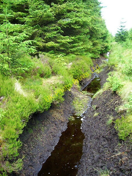 Photo 6"x4" Drainage Ditch in Whitelee Forest Laigh Carnduff c2007
